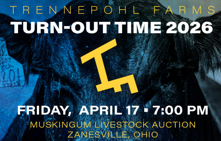 Trennepohl Turn Out 26